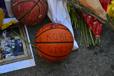 DSC_7149 (Large).JPG